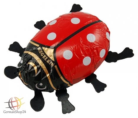 Riegelein Large Chocolate Ladybug Gift 50g