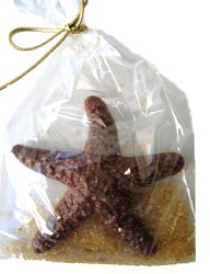 Chocolate Starfish Gift Bag, Swirled Milk & White Chocolate
