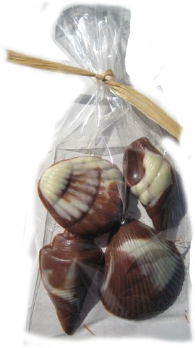 Chocolate Seashell Gift Bag Favor, Swirled Milk & White Chocolate