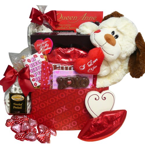 A Big Kiss For You! Plush Puppy Care Package Gift Box – Valentine’s Day
