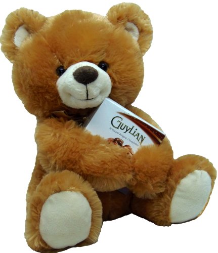 Delight Expressions™ 13″ Chocolate Bear Gourmet Gift – A Valentine’s Day Gift Idea – Birthday or Get Well Gift