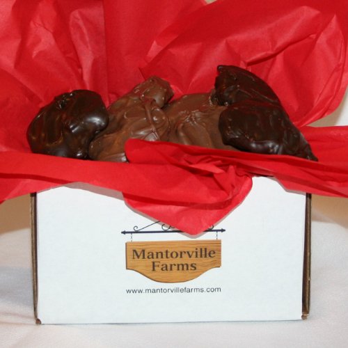 Pecan Turtles – Mix of Dark & Milk Chocolate (Two Pounds) (With a No Melt Guarantee)