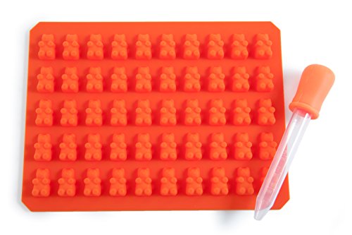 The Gummy Family Gummy Bear Candy Maker Mold – Best of all Molds for Children and Kids to make Ice Soap or Healthy Gummies of Sugar Free Chocolate Fiber Calcium Vitamins A B C D Fish Oil Multivitamins