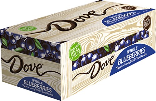 DOVE Fruit Dark Chocolate With Real Blueberries 2.83-Ounce Bag 16-Count Box